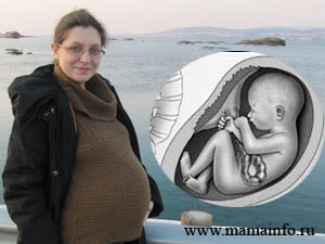 беременность 8 месяц